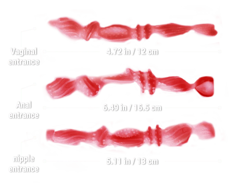 MRLSEXDOLL BBWトルソー Betty ベティ 乳首・膣・アナル4穴挿入可 29.5cm 5.7kg