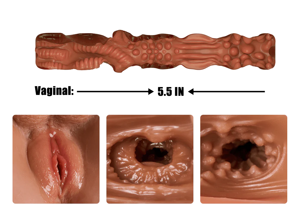 ふたなりトルソー Vale ヴァレ 褐色肌 37cm 4.25kg / BIG 50cm 9.6kg