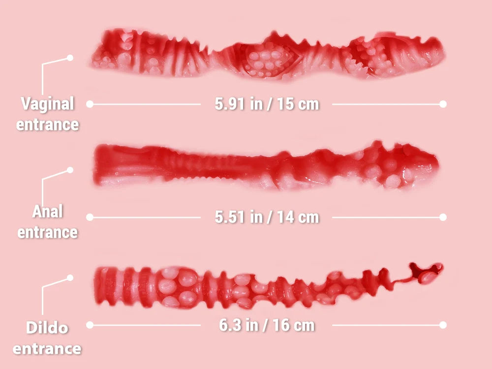 Megumi メグミ 独特の形の馬ペニス膣アナル3穴挿入可 ふたなりトルソー 26cm 4.6kg