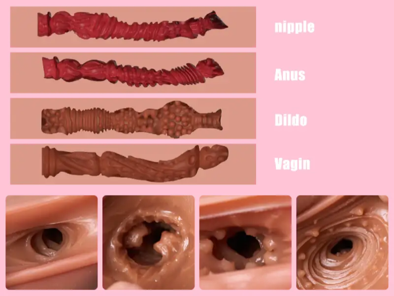 MRLSEXDOLL Robin TPE製 五つ穴 트르소 PC骨格 피규아돌 大型onahora ふたなり rabdol ふたなり 本物