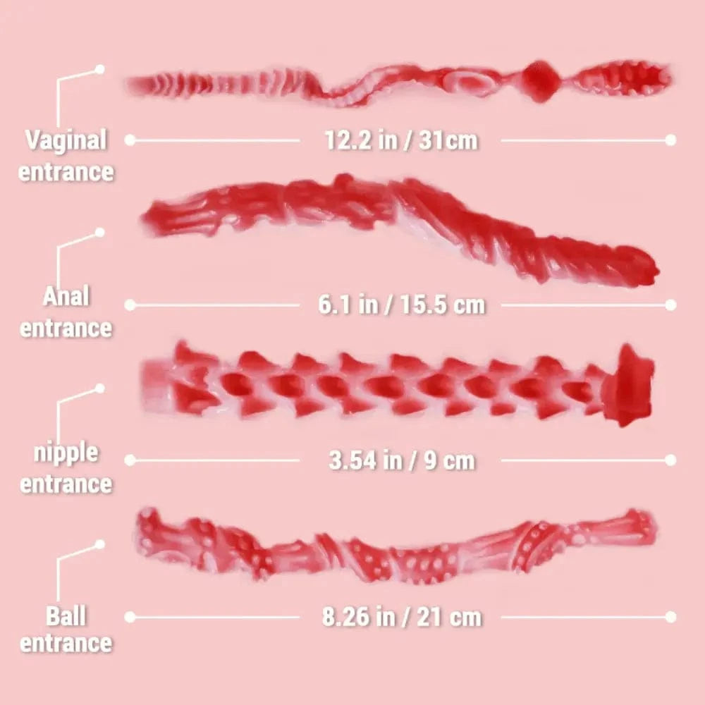 MRLSEXDOLL ヘンタイふたなりトルソー Arrow アロー 乳首・ペニス-玉袋裏貫通・膣・アナル・6穴挿入可 36cm 3.9kg