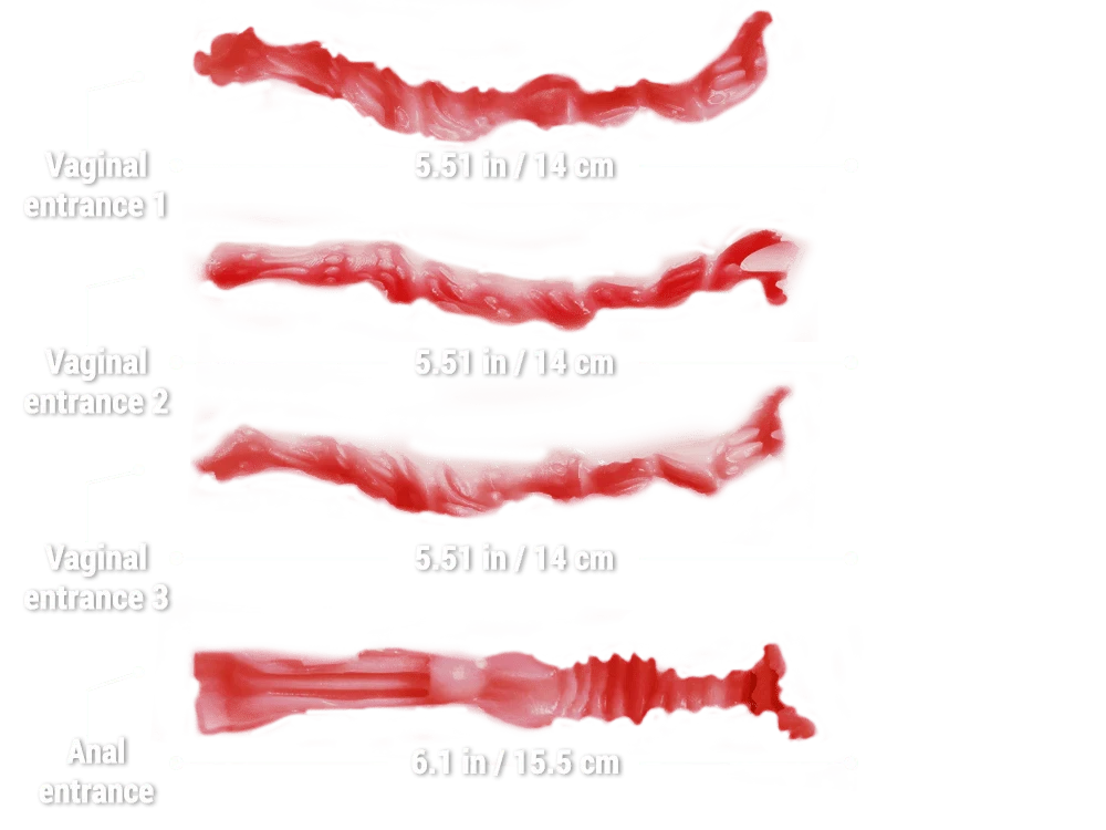 MRLSEXDOLL ヘンタイトルソー Ruth ルース 6乳房 3膣穴+1アナル4穴挿入可 23cm 5kg