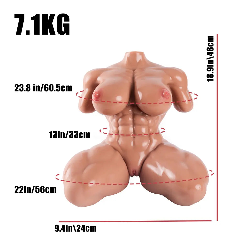 [クーポン NEW!15 で32,290円] Juri  ジュリ マッチョ女体トルソー 48cm 7.1kg