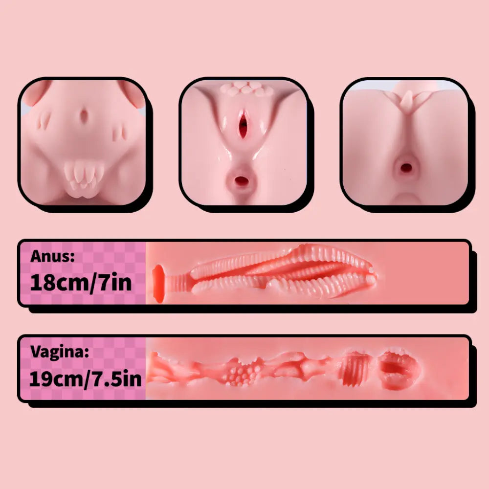 クレア 猫ケモ トルソー 36cm 9.8kg
