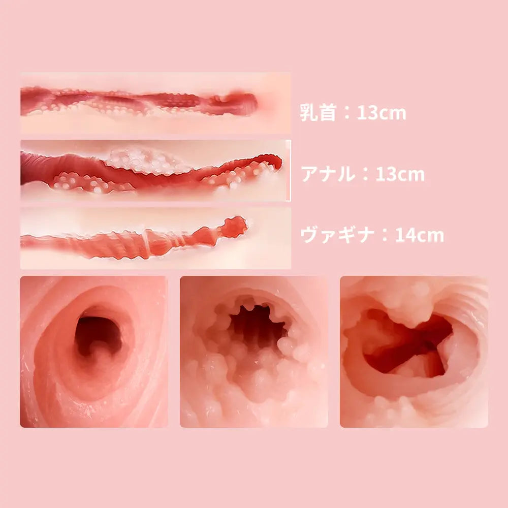 妊婦トルソー Marie マリー 子宮・乳首・アナル4穴挿入可 BBW 31cm 5.4kg / BIG 43cm 11.5kg